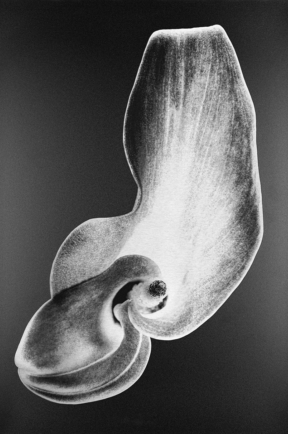 Cala Lilly